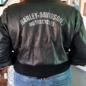 Harley davidson leather jacket